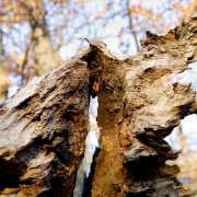 Slecna parez
